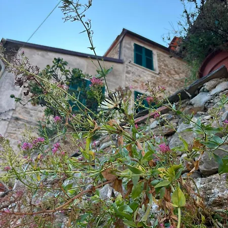 Apartment Casa Onda Chiara